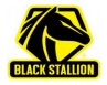 Black Stallion Logo